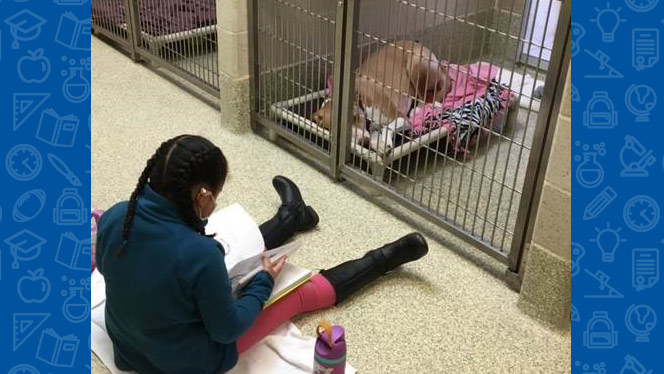 Student reading to a dog.