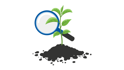 Magnifying glass looking at plant illustration