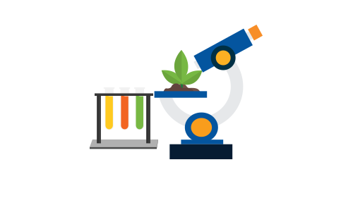 Microscope illustration