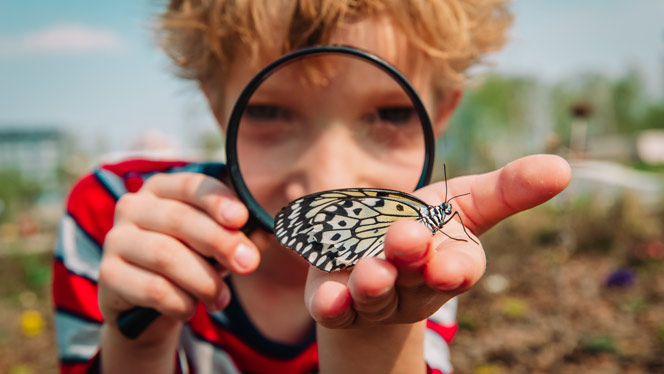 Child looking at butterfly through magnifying glass