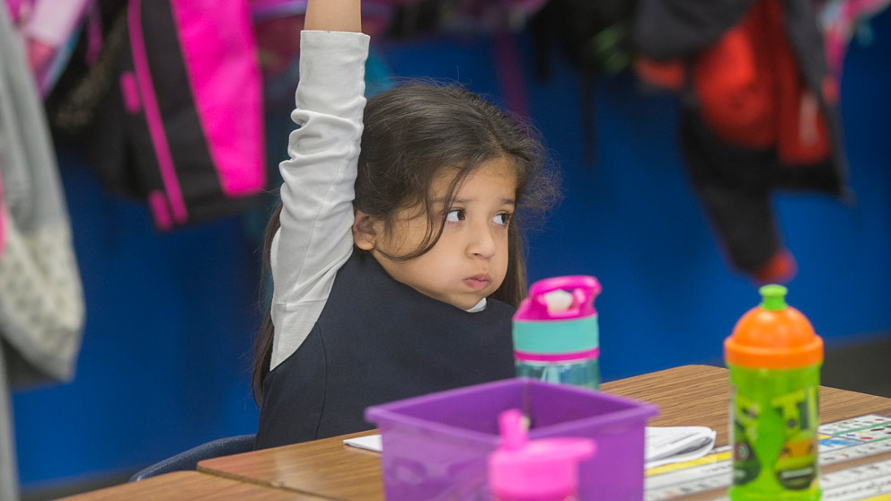 Student raising hand in class