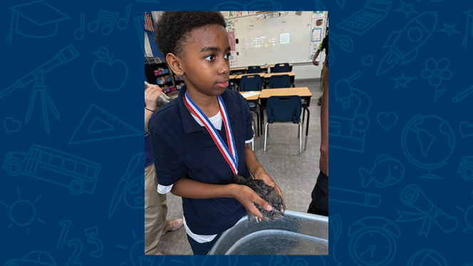 K-8 School in Cincinnati: Alliance Academy fifth graders partner with with Tikkun Farm to raise baby chicks.