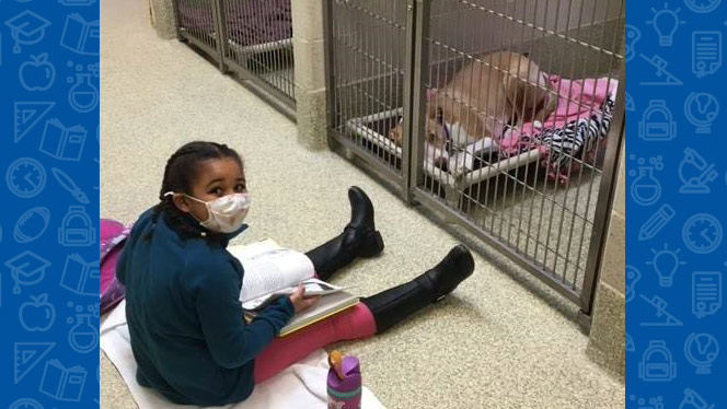 Student reading to a dog.