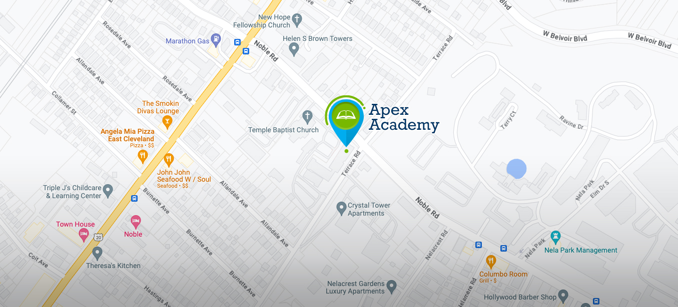 Apex Academy