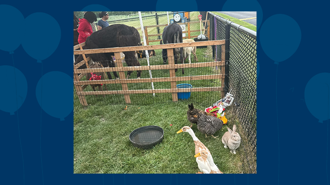 Y5-8 School in Taylor: Taylor Exemplar Academy Summer Carnival