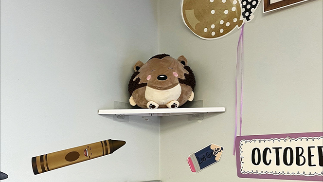 Charter School in Grand Rapids: NHA uses stuffed animals to reinforce Moral Focus lessons.