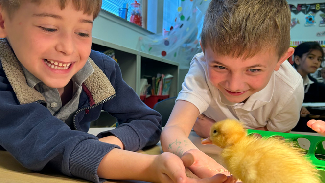 Students petting a duckling.