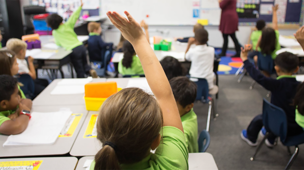 Students raising hands in class