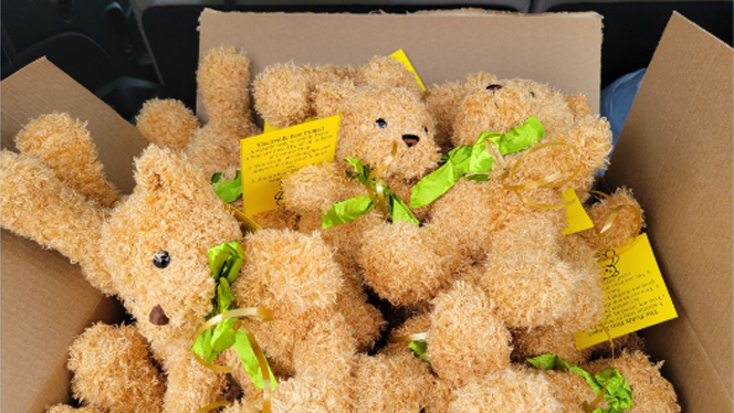 Box of teddy bears.