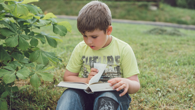 boy reading outside